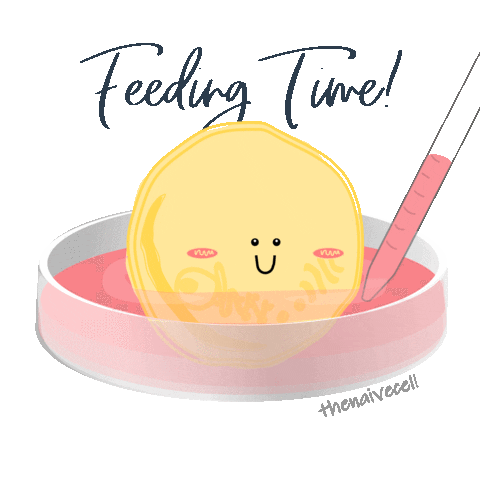 Cell Sticker