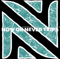 NowOrNeverTrips nowornevertrips GIF