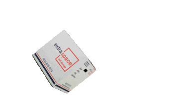 Extraspaceme Sticker