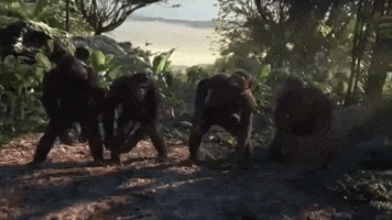 Adventure Of A Lifetime GIF by Coldplay