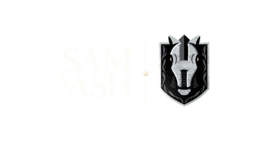 Vegas Golden Knights Goal Sticker by Sam & Ash Injury Law