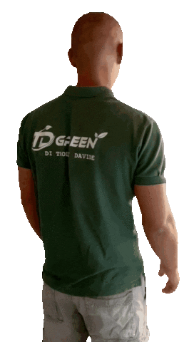 TD Green Sticker