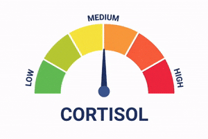 Balance Cortisol GIF