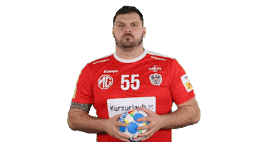 Handball Austria Sticker