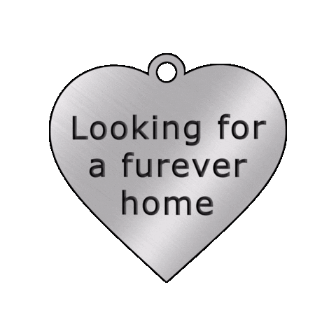 San Bernardino County Public Health Sticker