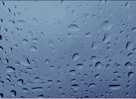 Rain GIF