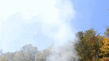 Bonfire Brush Fire GIF by JC Property Professionals