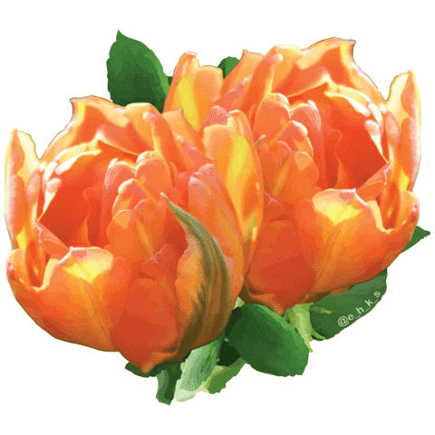 Flower Sticker