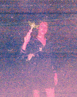 200.gif?cid=fc005b08682bba4ee81e1d8152a8849e594435d662b8e402&rid=200.gif&ct=g