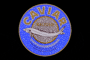 Caviar Star GIF