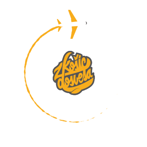 Z Košíc do sveta Sticker