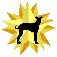Gold Star Dog GIF by Positively Pets