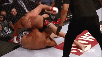 Fedor GIF