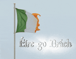 St Patrick Flag GIF by USA Kilts