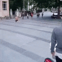 People Jumping Into Hole GIFs - Find & Share on GIPHY