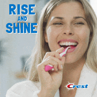 Good Morning Smile GIF by Crest