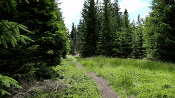 Góry Bialskie GIF