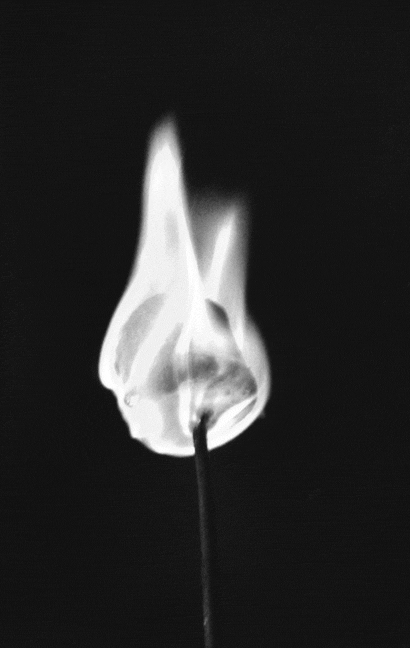 marshmallows