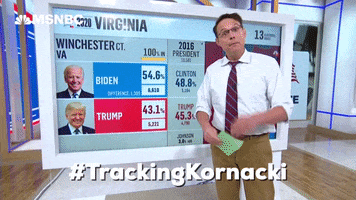 Steve Kornacki Vote GIF by MSNBC