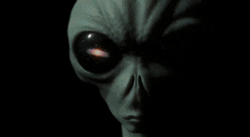 Dave Schaub GIF