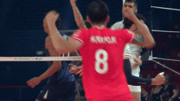 Happy Party GIF by Volleyball World