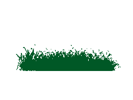 Show it Better Sticker