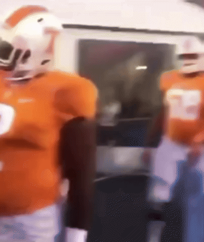 Tennessee Vols GIF