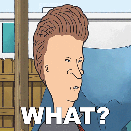 Beavis And Butthead What GIF by Paramount+