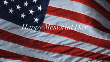 Memorialday Memorialdayweekend Servicemen Servicewomen Usa Unitedstates Thankyou Militarymenandwomen GIF by Charli Gurl