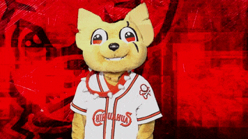 Two Thumbs Up GIF by El Paso Chihuahuas