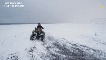 Snow Driving GIF by National Geographic Channel