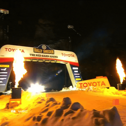Flying Ford GIF by FIA World Rally Championship