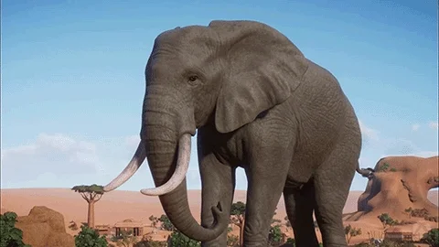 Loop Elephant GIF