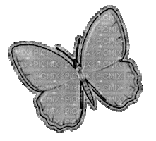 Bohiiih Sticker
