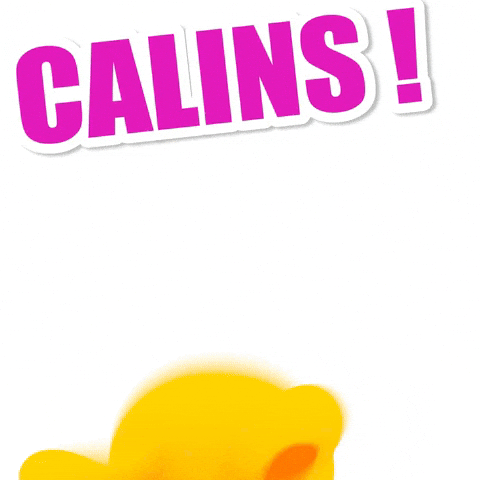 Calin GIF by Titounis