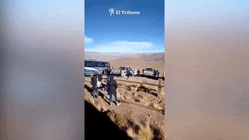 El Tribuno GIF