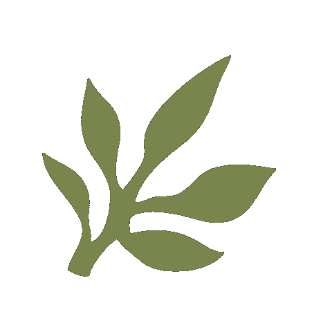 Skincare Waxing Sticker by The Pink Canoe Studio