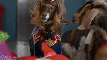 Captain Marvel Goat GIF by Disney+