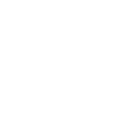 Star Sparkle Sticker