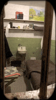 Escape Room Jail Cell GIF by Yevbel
