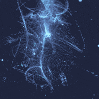 Image hotlink - 'https://media1.giphy.com/media/eTEI6QUKclNRe/200w.gif#5' Image hotlink - 'https://media1.giphy.com/media/eTEI6QUKclNRe/200w.gif#5'