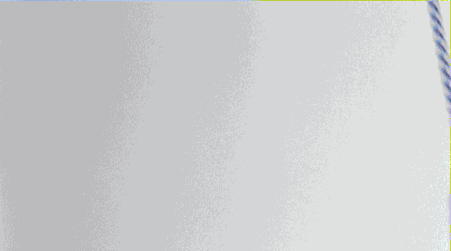 giphy.gif