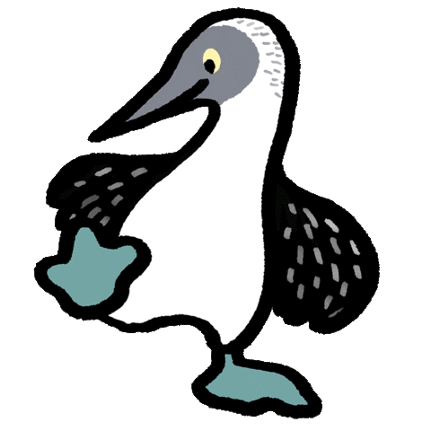 Bird Sticker