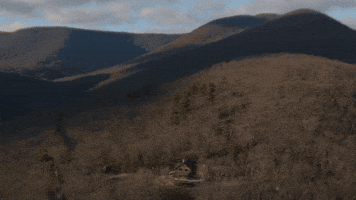 Daniel Rodriguez GIF