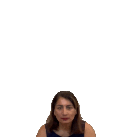 Homes by Gill - Surinder Gill Sticker