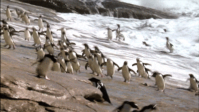 giphy.gif?cid=3640f6095bb7888d796e726332
