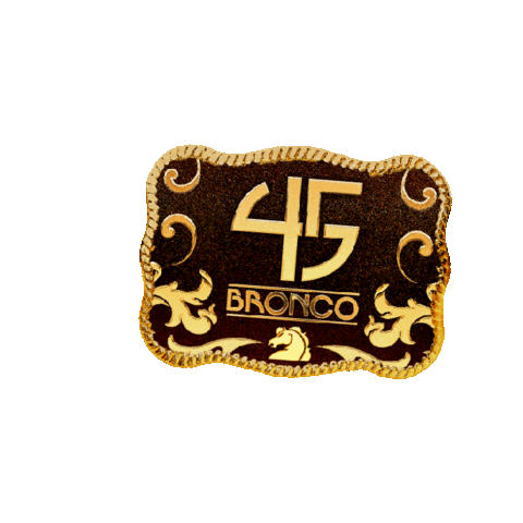 Lupeesparza Sticker by Grupo Bronco