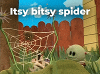 Isy bitsy spider