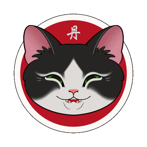 Cat Wow Sticker