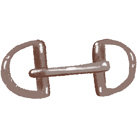 Horse Sticker